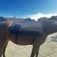 //rjrorwxhjpnrlq5p.ldycdn.com/cloud/ljBprKrjlpSRklmjqipjkq/T500-horse-red-light-therapy-mat-zhutu.jpg