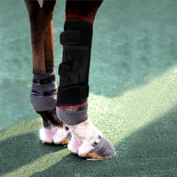 //rjrorwxhjpnrlq5p.ldycdn.com/cloud/lkBprKrjlpSRklmjpipjkq/T480-K2-horse-red-light-therapy-leg-wrap-peitu14.jpg
