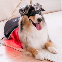 //rjrorwxhjpnrlq5p.ldycdn.com/cloud/lrBprKrjlpSRklmmkqokkp/Topp-10-R&oslash;dlysterapi-For-Hund-Produsenter-I-Kina.jpg